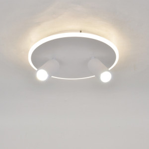 Настенно-потолочный светильник 20046LED 20046SMA/02LED WH